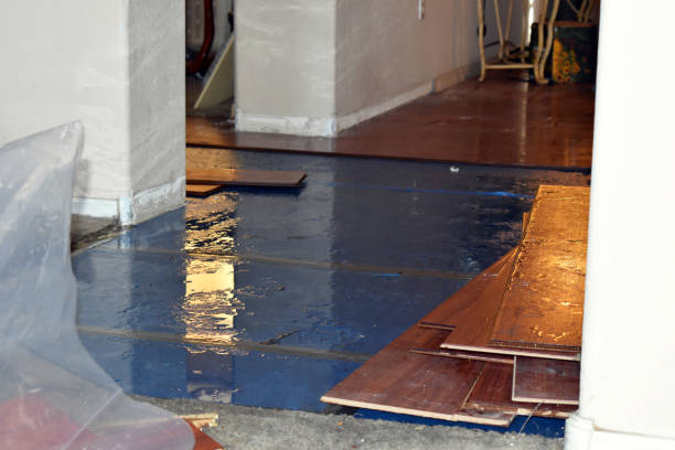 Professional Burst Pipe Cleanup technician working in Ellinger, TX